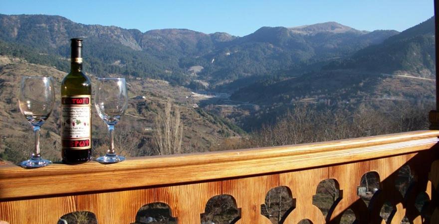 La Petri Studios With Fireplace & View Metsovo Exterior photo