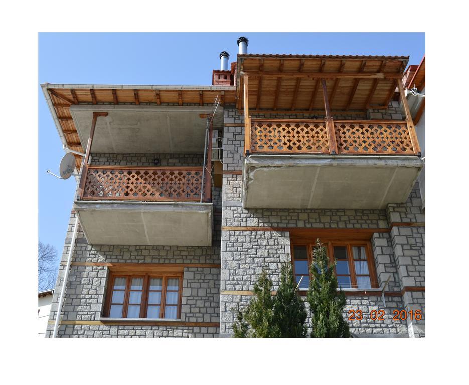 La Petri Studios With Fireplace & View Metsovo Exterior photo