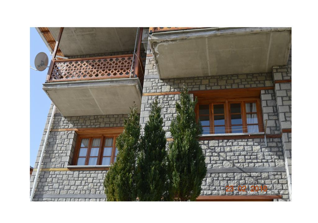 La Petri Studios With Fireplace & View Metsovo Exterior photo